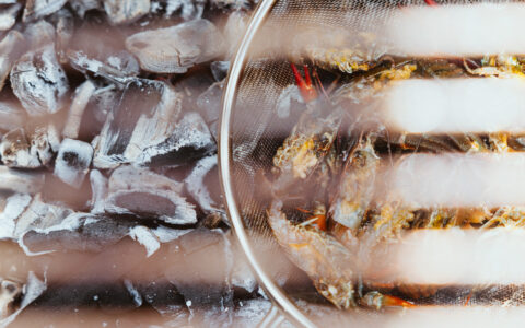 SF_Genussfuehrer_CatchandCook_Traunsee_Foto_Nr8_Grill_Thomas _Mesic