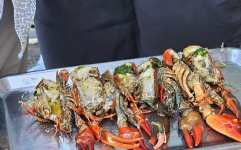 CatchAndCook_Krebse_c_Melanie_Radler